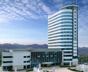 江西銅業(yè)鉛鋅金屬有限公司